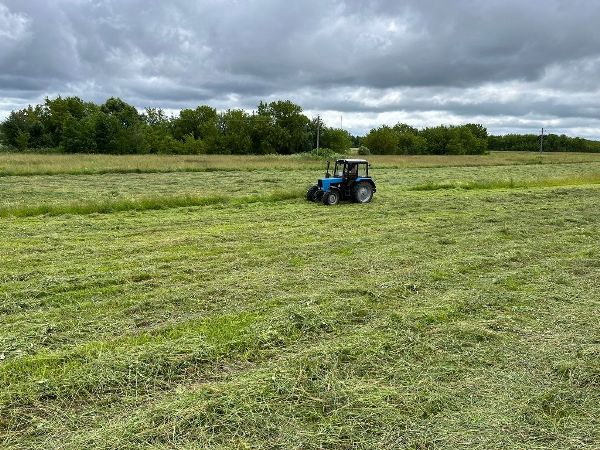 Заготовка кормов идет на угодьях, принадлежащихСуражской КП-3