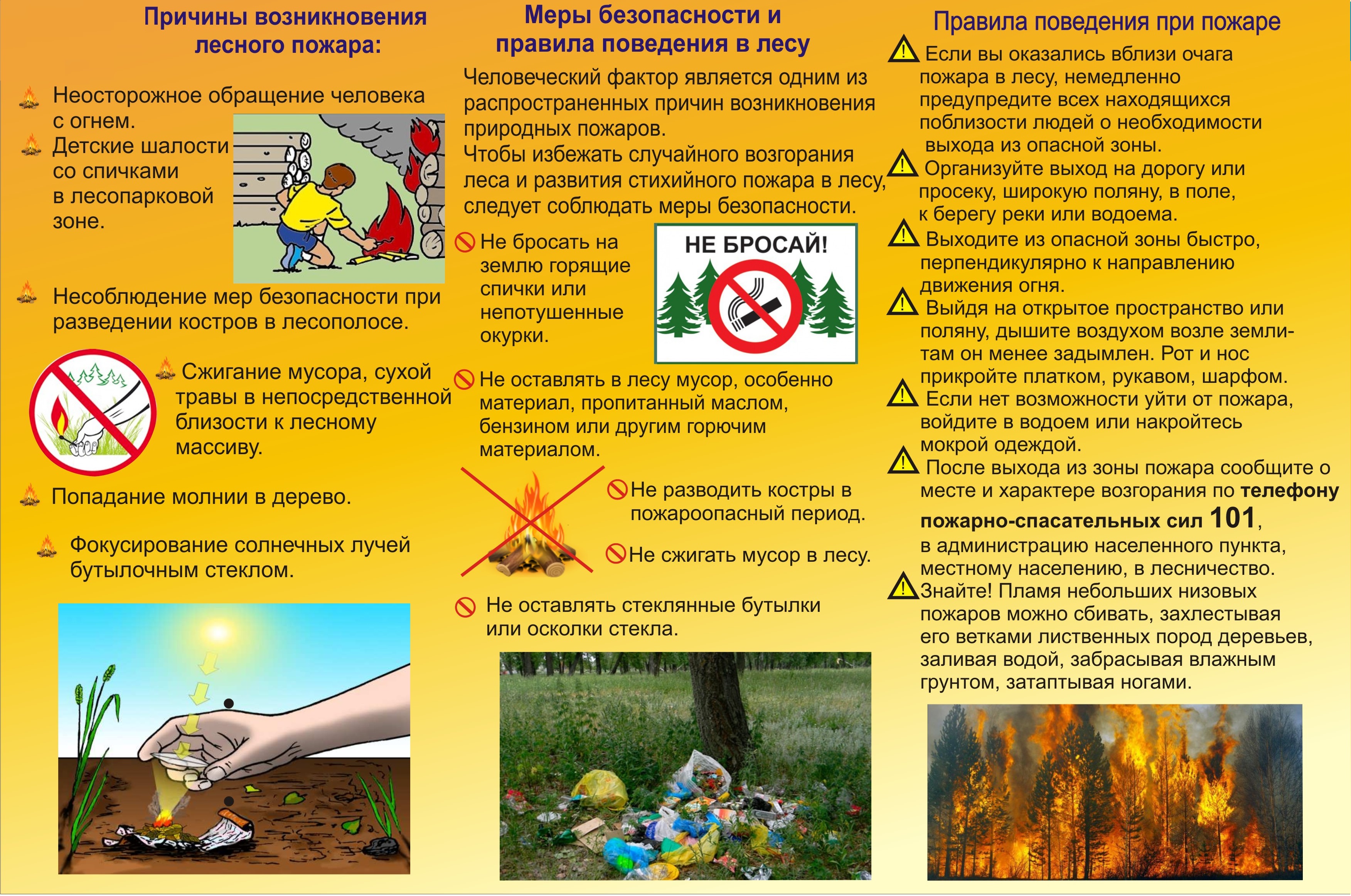 В начале июня передвижные ФАПы приедут в села Брянской области