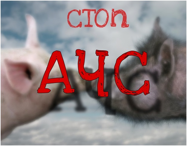 Уважаемые жители Суража и Суражского района Брянской области!