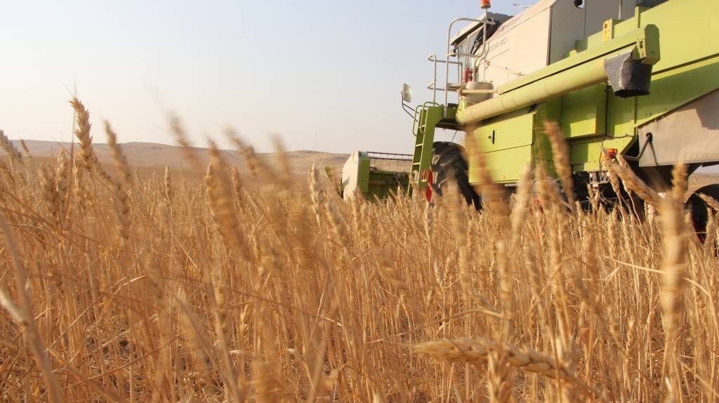 В Брянской области уборочная кампания идет с опережением графика