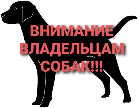 Объявление об отлове бесхозных, безнадзорных и агрессивных собак