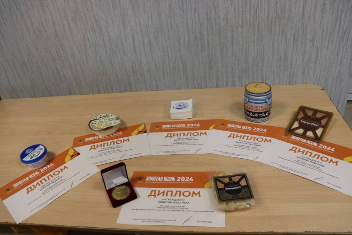 Стародубские предприятия завоевали девять наград высшей пробы на выставке «Золотая осень-2024»