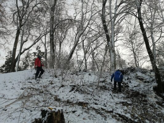 В Трубчевске стартовал проект по благоустройству городского парка