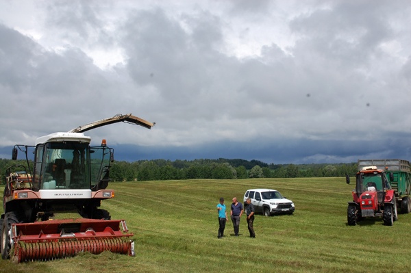 В основе СПК «Западный» Суражского района -стабильность