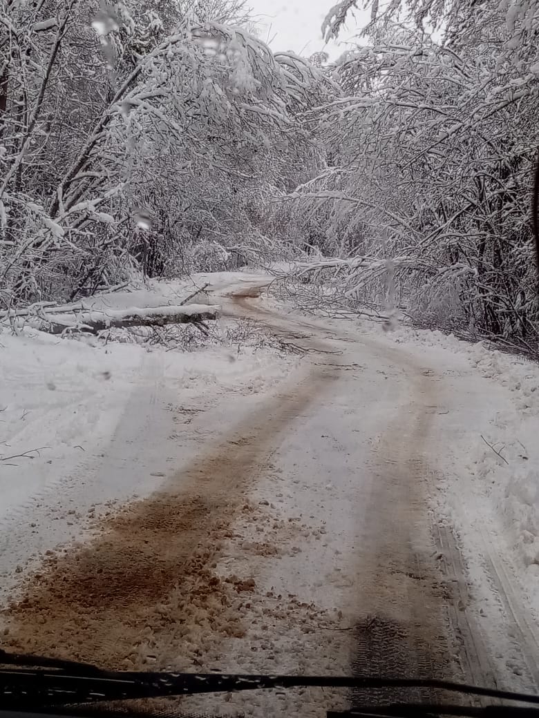 Суражанам удалось оперативно справиться с последствиями снежной стихии