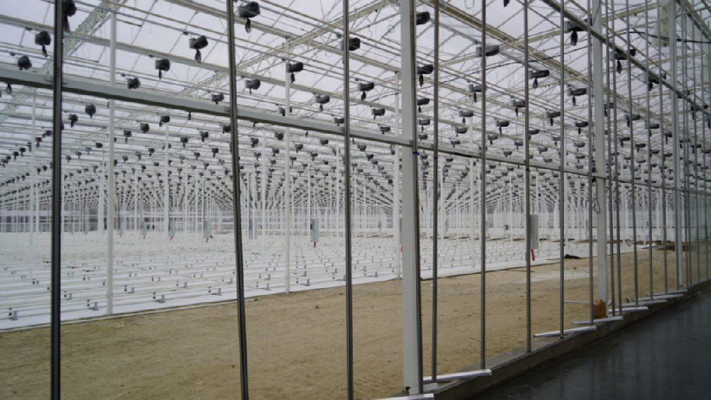 Глава Брянского региона Александр Богомаз посетил строительную площадку тепличного комплекса в Журиничах