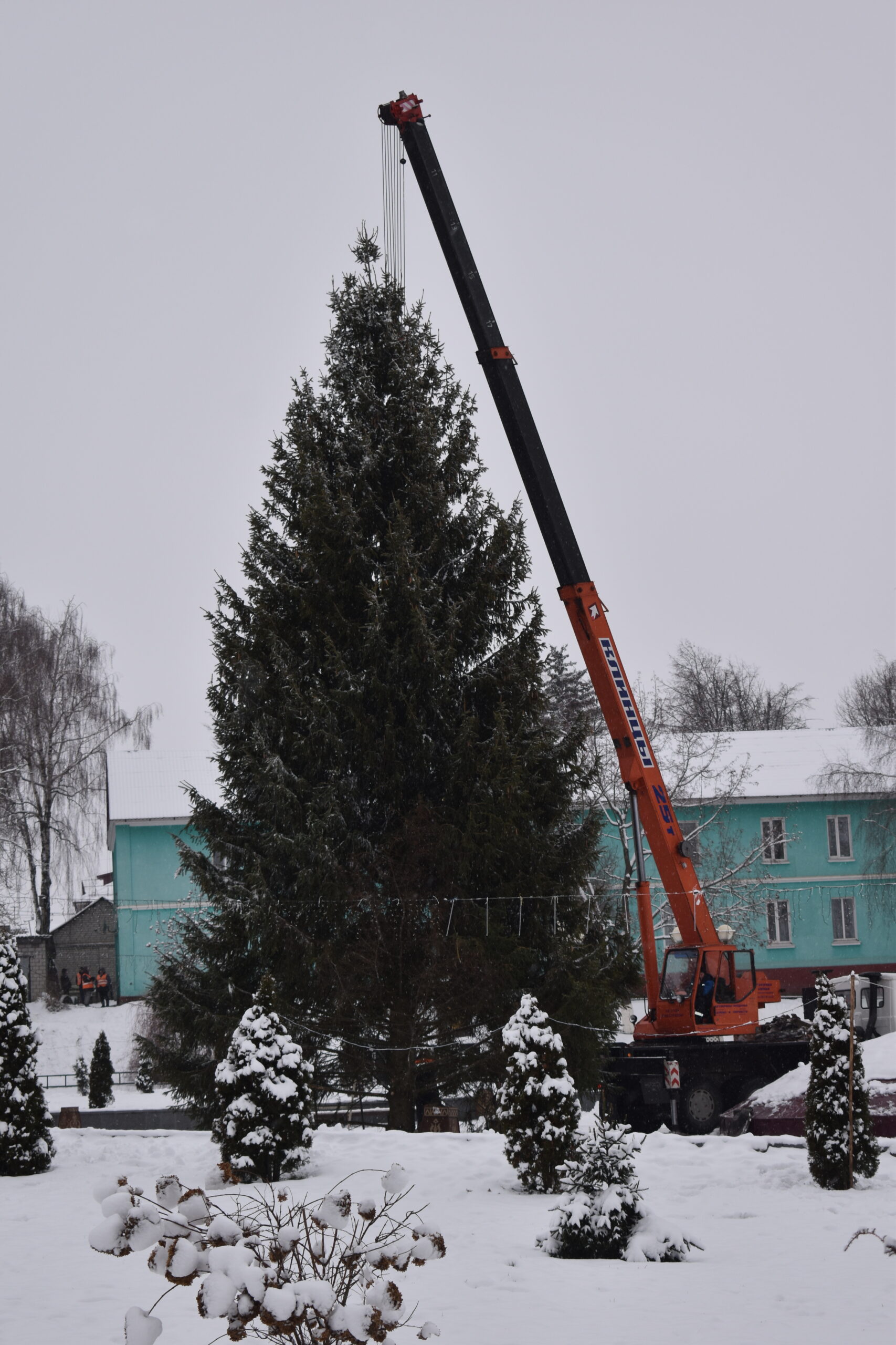 В Сураже устанавливают главную городскую елку