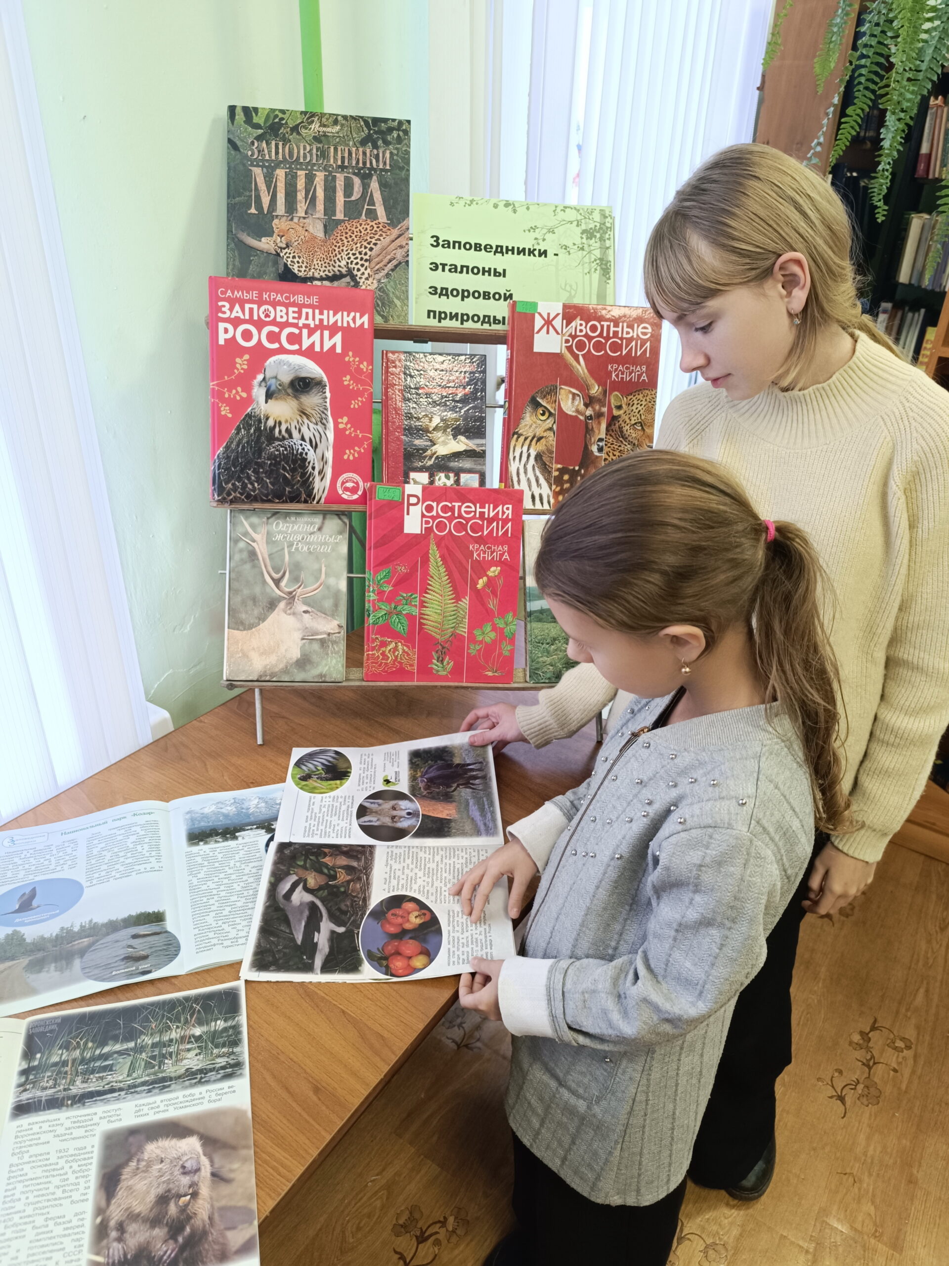 В Суражской городской  детской библиотеке  для юных читателей прошла выставка познание  «Заповедники – эталоны здоровой природы».