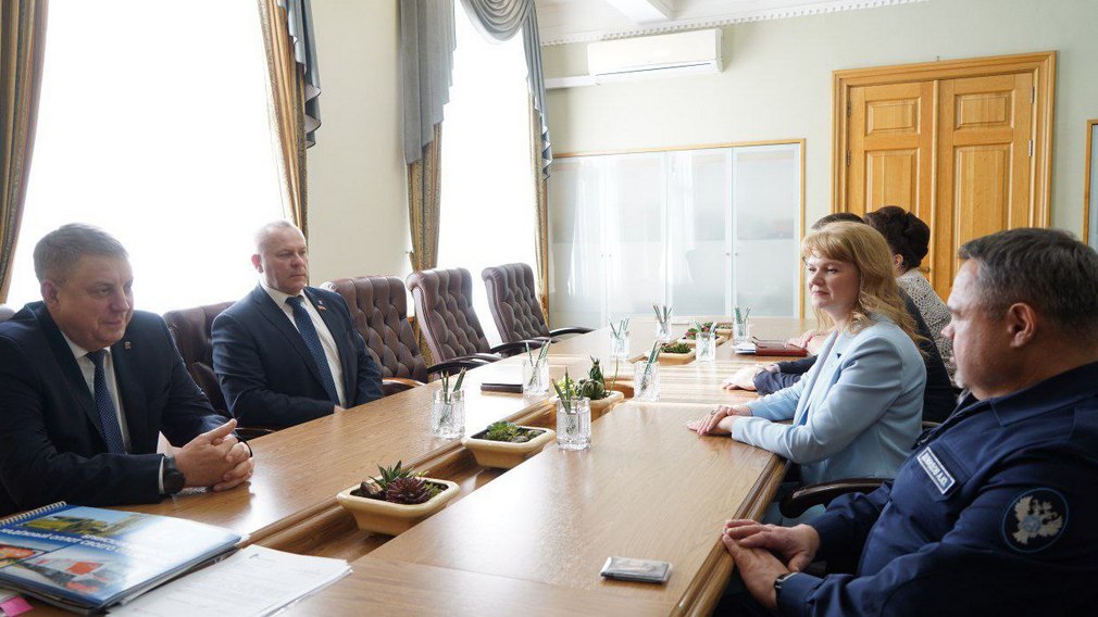 Глава региона Александр Богомаз встретился с замруководителя федерального казначейства Александром Демидовым