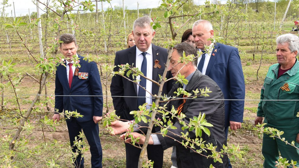 В Клетнянском районе Брянской области в рамках всероссийской акции «Сад памяти» высадили вишни