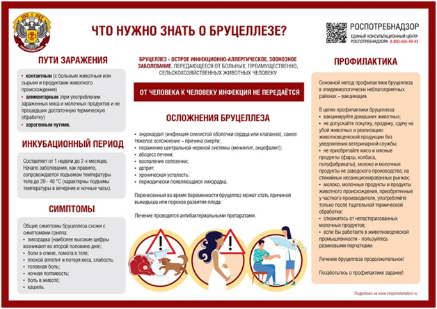 Рекомендации по  профилактике бруцеллеза