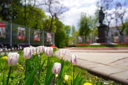 В Брянской области за год число городов с благоприятной средой выросло на 43%