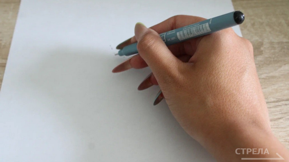 Сегодня выпускники сдадут ЕГЭ по истории, химии и литературе