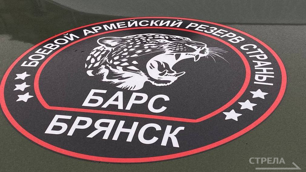 В состав команды «БАРС-Брянск» требуются специалисты в области медицины и кулинарии