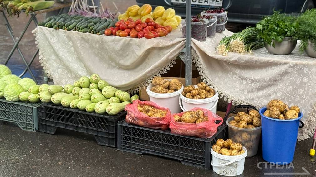 В Брянске проходит сельскохозяйственная ярмарка выходного дня
