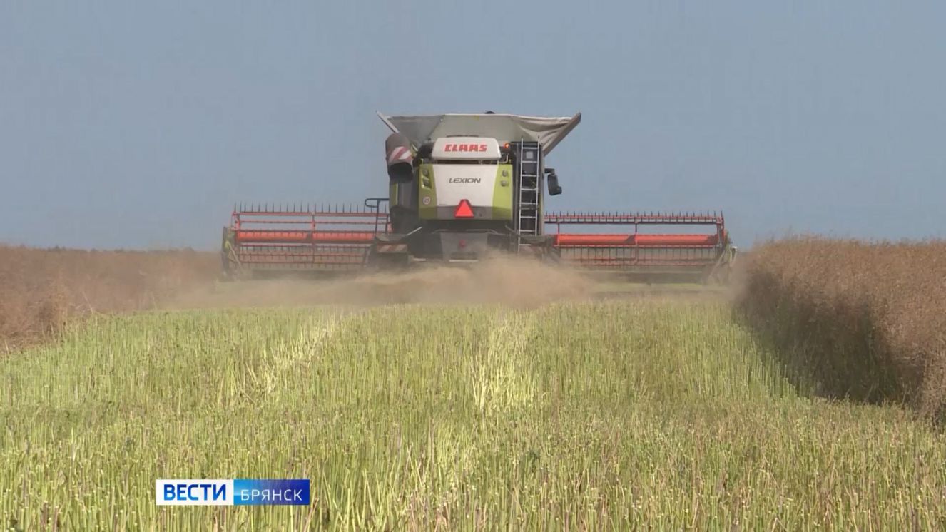 Уборочная страда стартовала во всех районах Брянщины