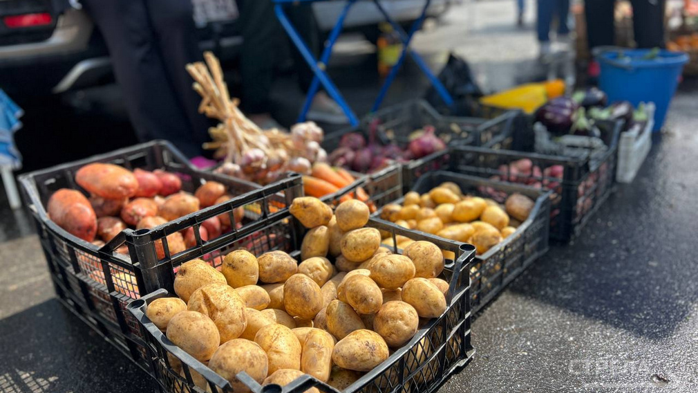 Брянские ярмарки выходного дня расширяют свою деятельность