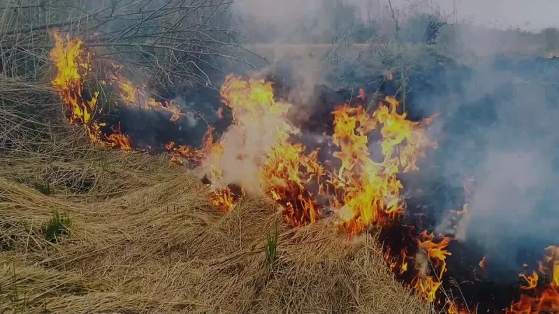 МЧС России напоминает об опасностях осенних палов сухой травы