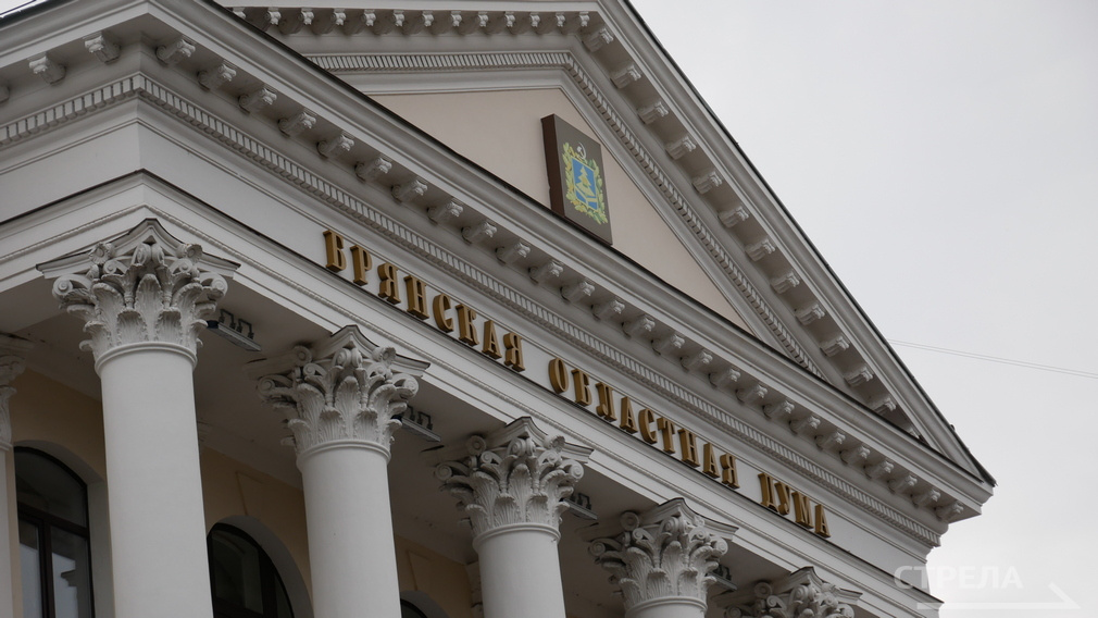 Евгений Вылцан возглавил комитет Брянской облдумы по делам ветеранов, участников боевых действий и их семей