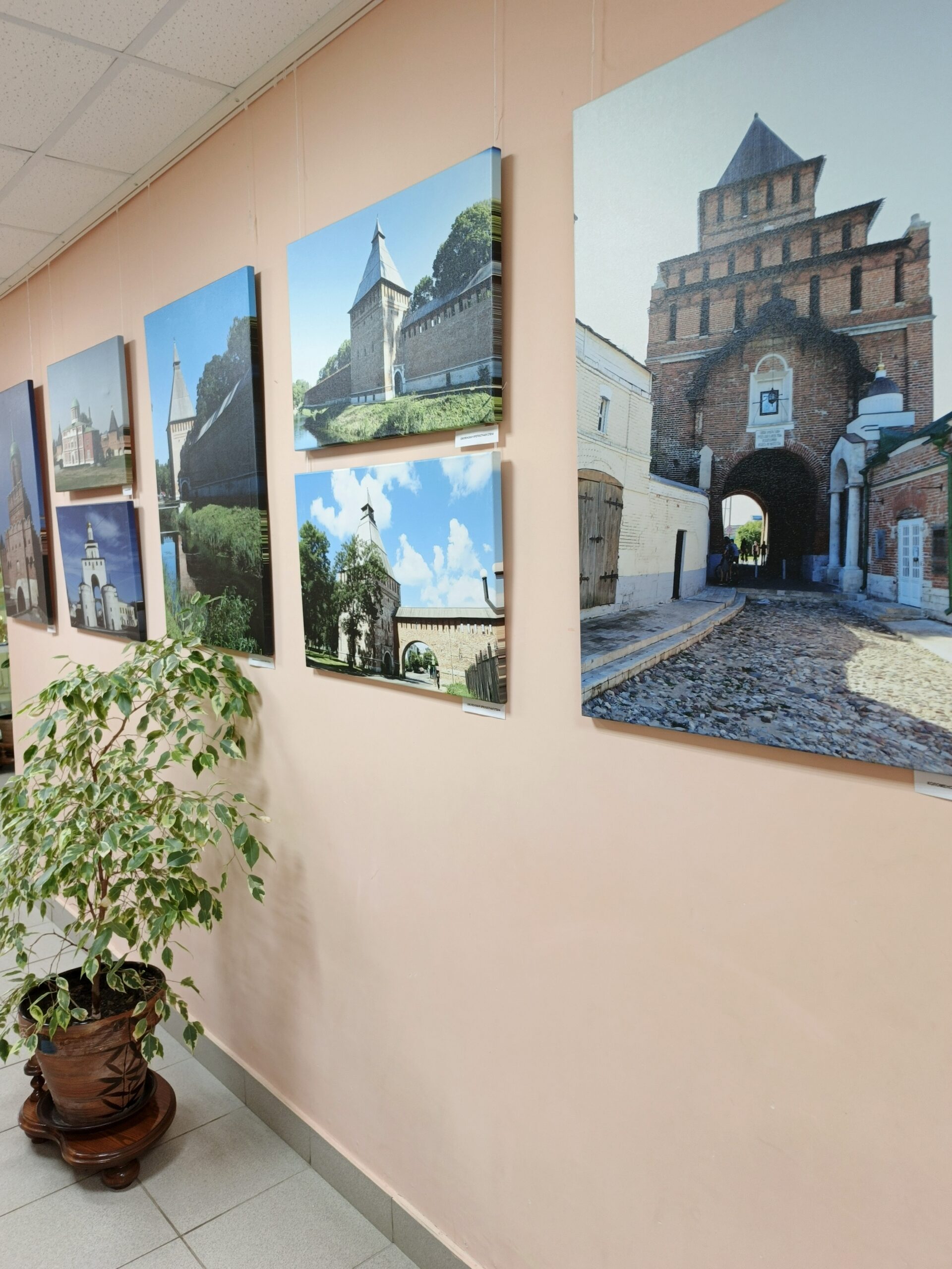 В Дубровке открылась выставка фоторабот Костаса Асимиса