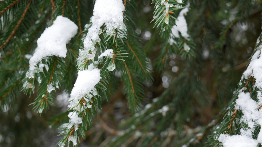 Зимой Брянск от снега будут чистить 125 единиц спецтехники