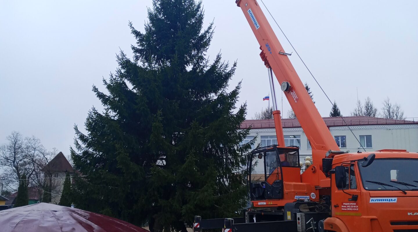 В Сураже устанавливают главную городскую елку