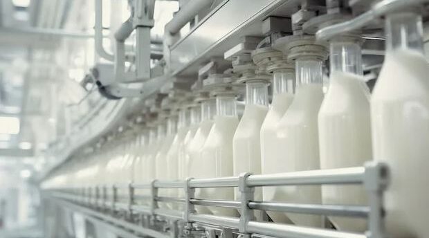 Динамика производства молока в сельском хозяйстве