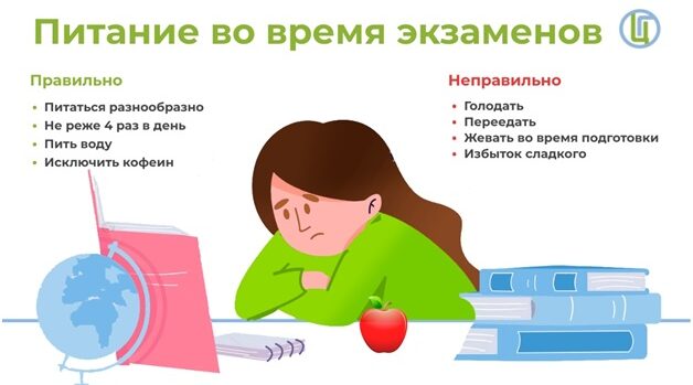 Подготовка к ОГЭ или ЕГЭ — серьезный вызов для любого школьника