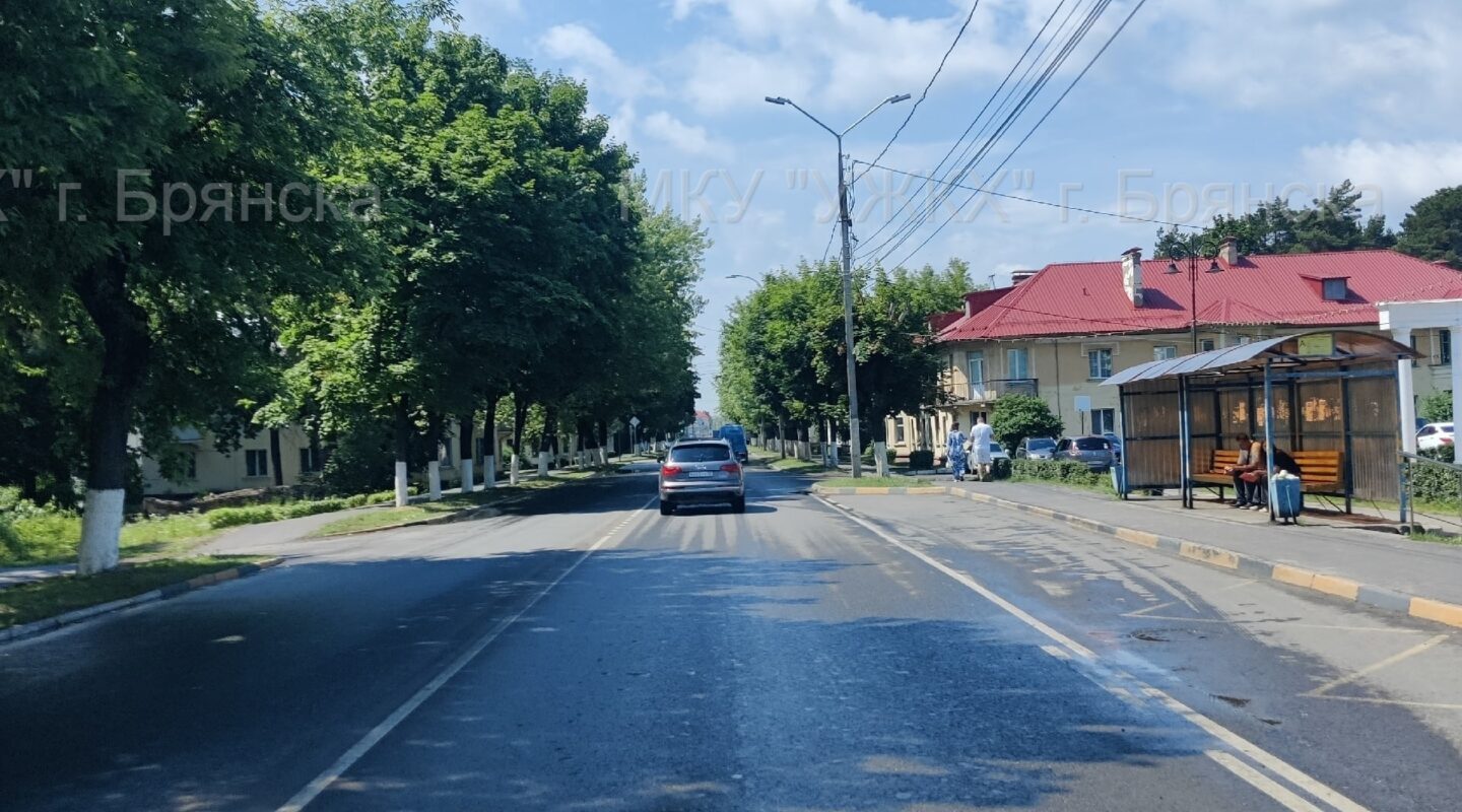Улица Никитина в Брянске