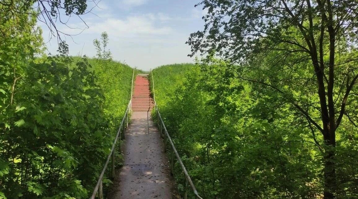 Откуда есть пошла земля Брянская?