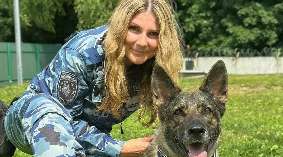 Кинолог из Брянска  вместе со своей немецкой овчаркой  заняла пятое место в конкурсе