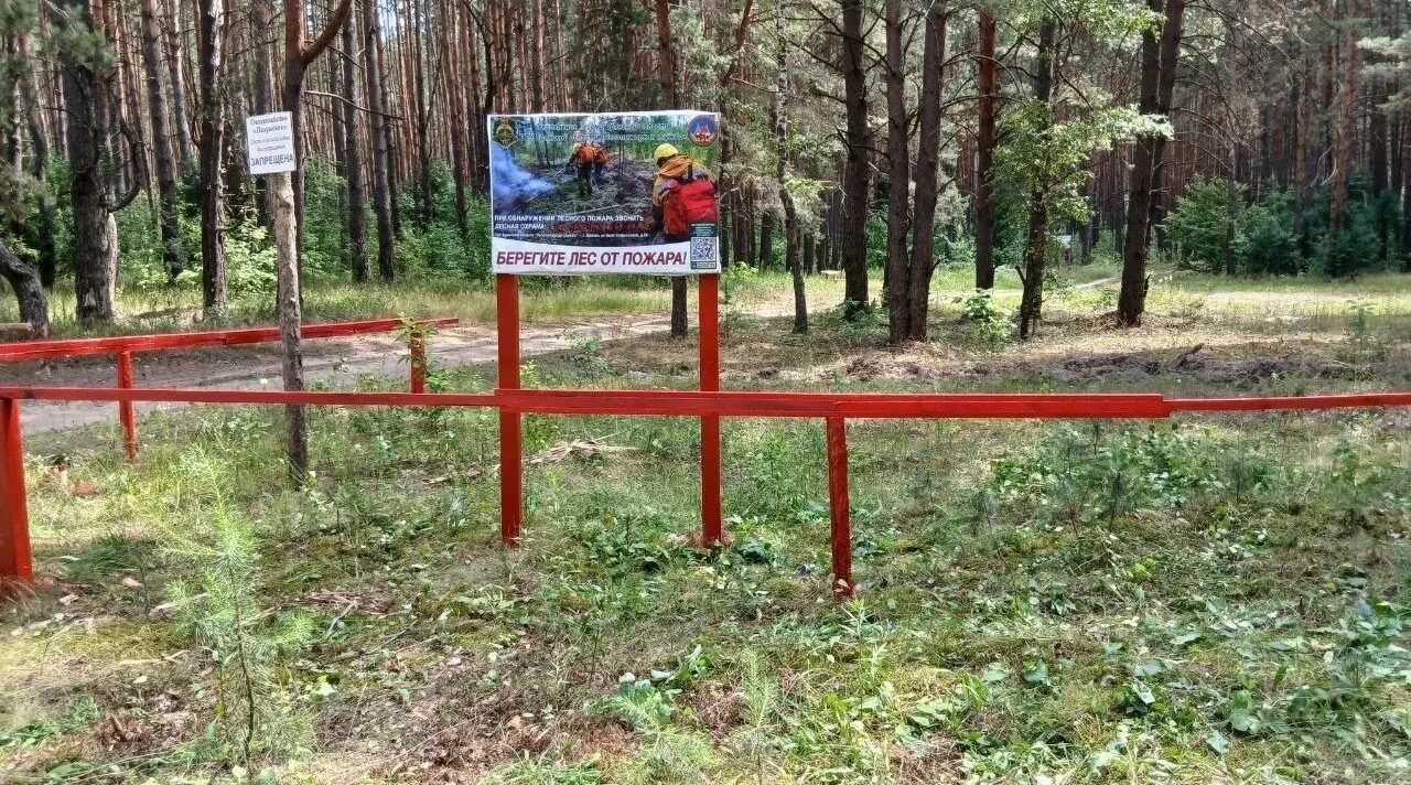 Системная защита лесов Брянщины.