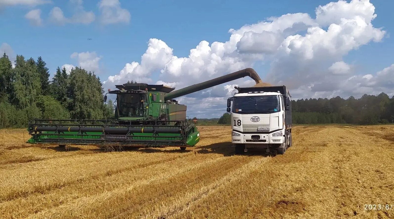 Уборка зерновых, зернобобовых культур и рапса практически завершена в Брянской области
