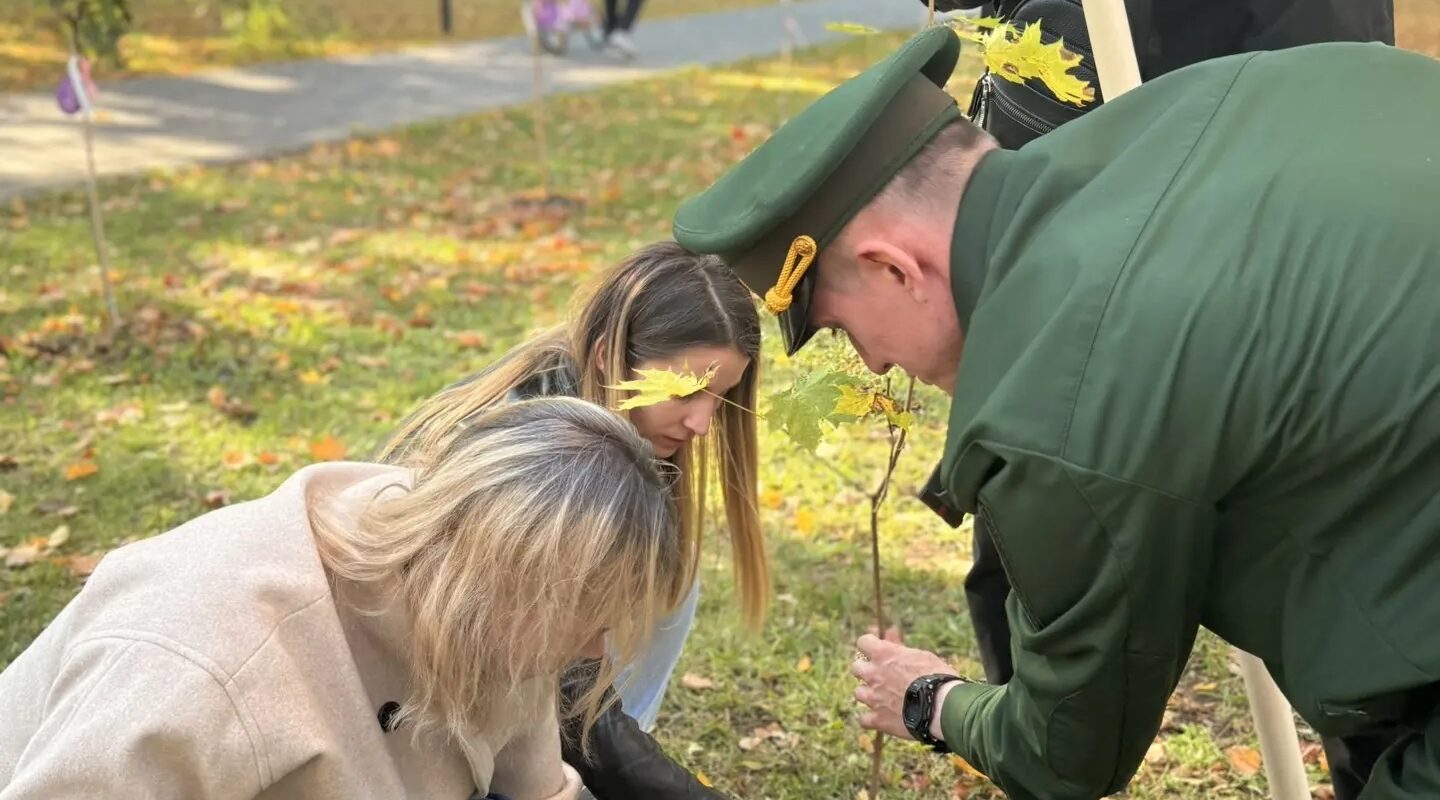 Ветераны СВО высадили деревья в Майском парке
