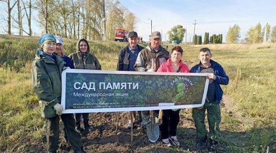В Севске посадили 80 лип в честь 880‑летия города!